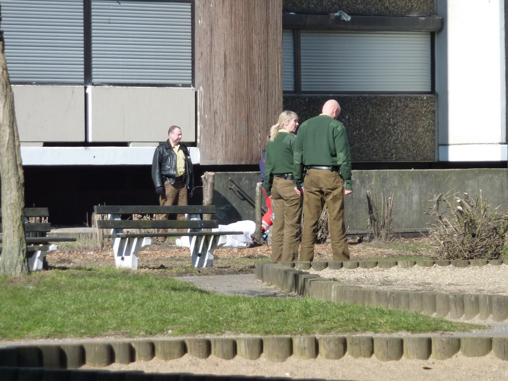 Person gesprungen Koeln Meschenich Alte Bruehler Landstr P8.jpg